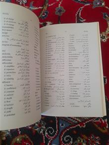 واژه