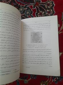 آرکگونیاتها