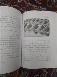 افسانه