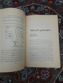 نشریه