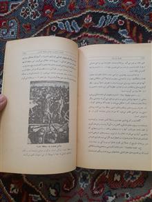 فلسفه