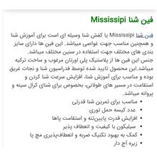 فین