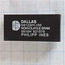 DS1230Y-100