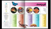 دایره