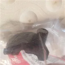 ست