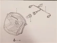 سیم