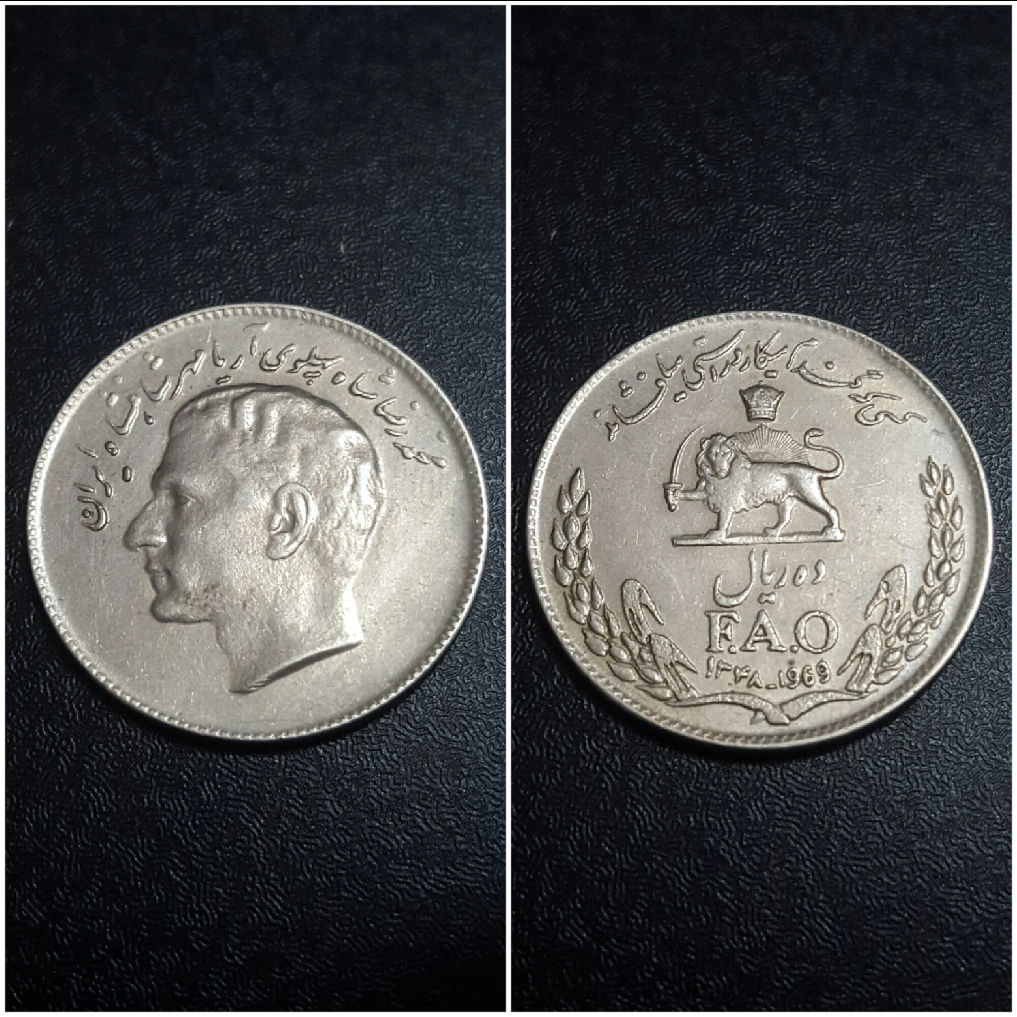 سکه کمیاب ده ریالی فائو