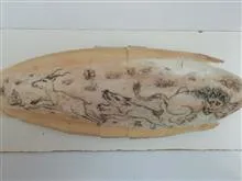 اسکلت