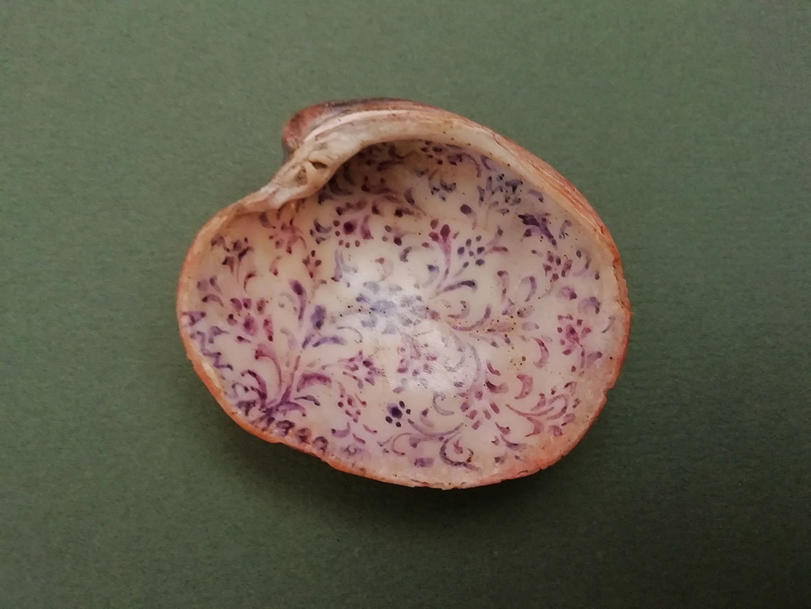 صدف درشت کلکسیونی آنتیک زیبا