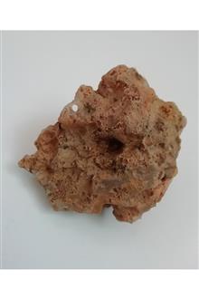 جاعودی