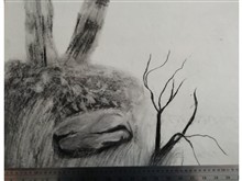 نقاشی