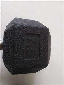 دمبل