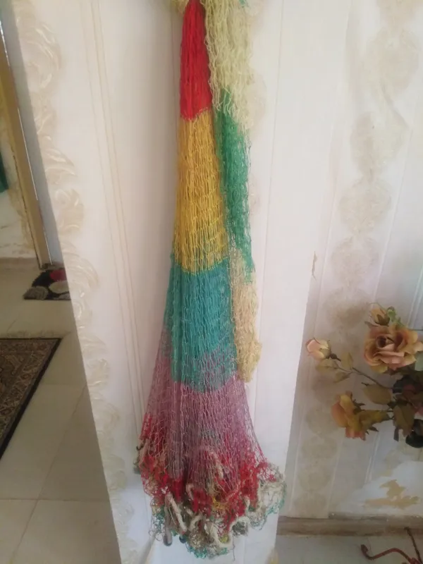 تورماهیگیری رنگی ژاپنی