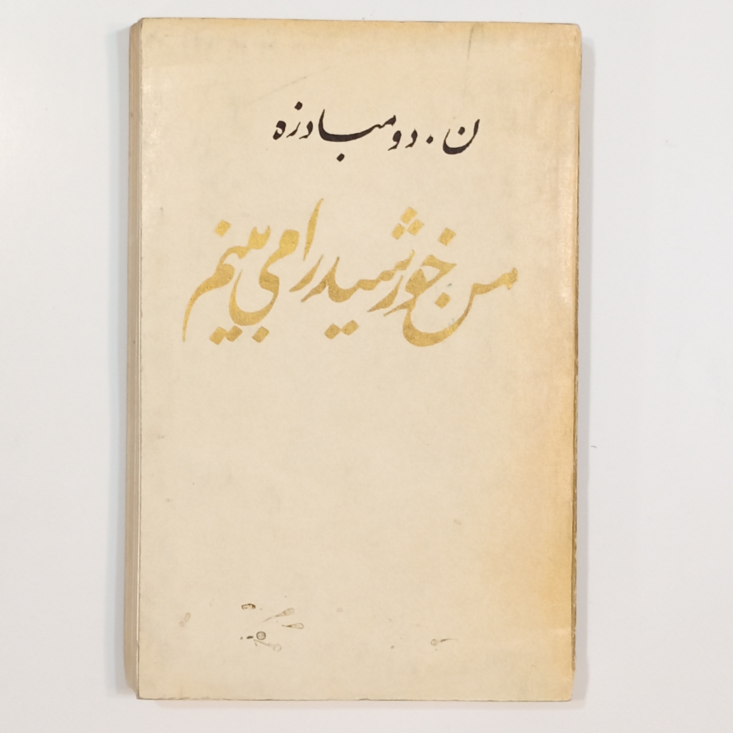 من خورشید را میبینم (ن.دومبادزه)