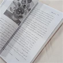 ونسان