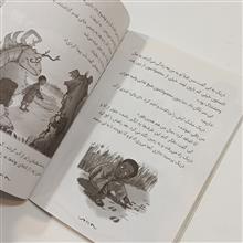استاد