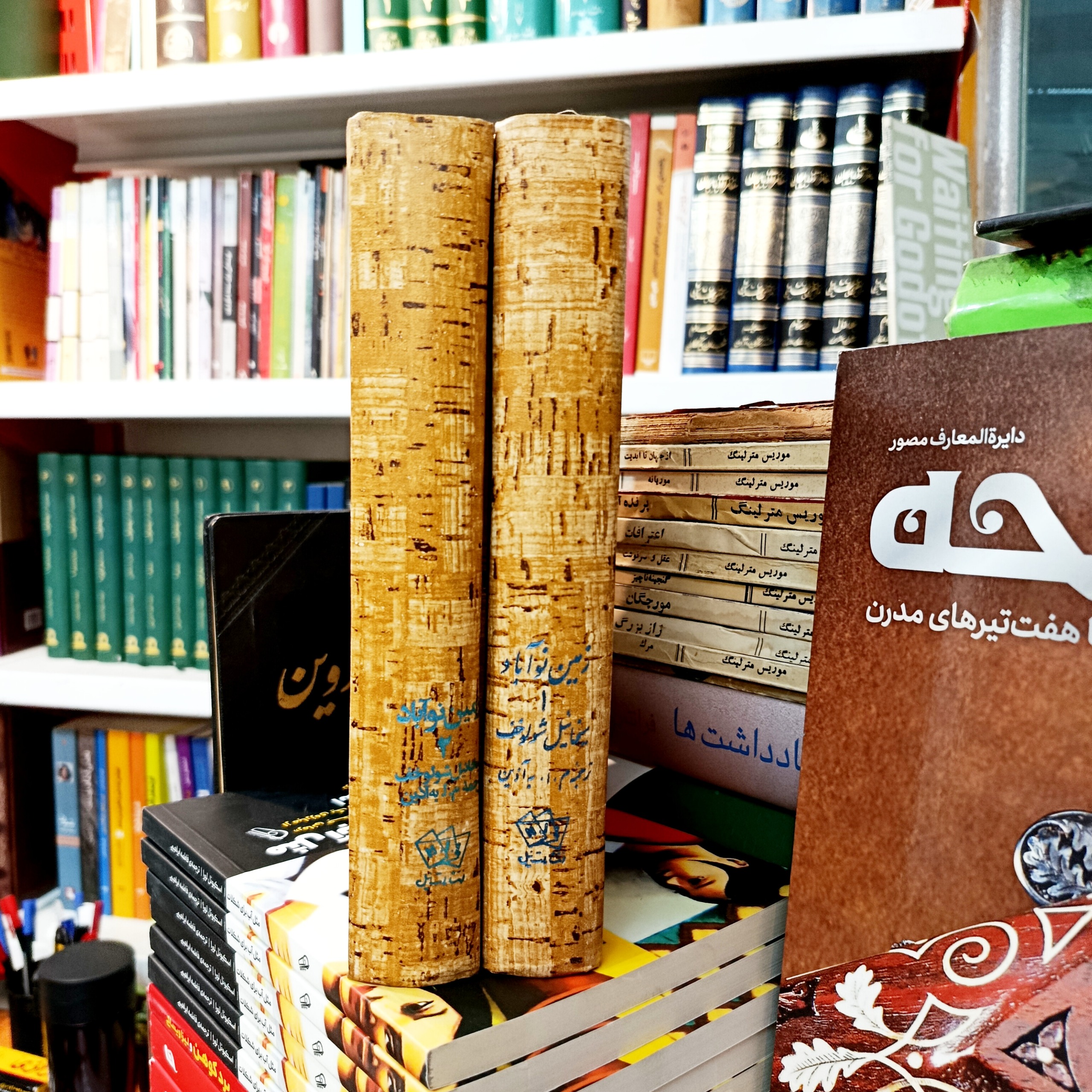 زمین نوآباد (میخائیل شولوخف)