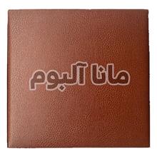 کلاسور