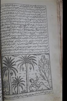 ماتمکده