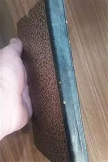 انیس