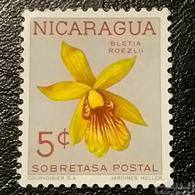 تمبر خارجی (118)