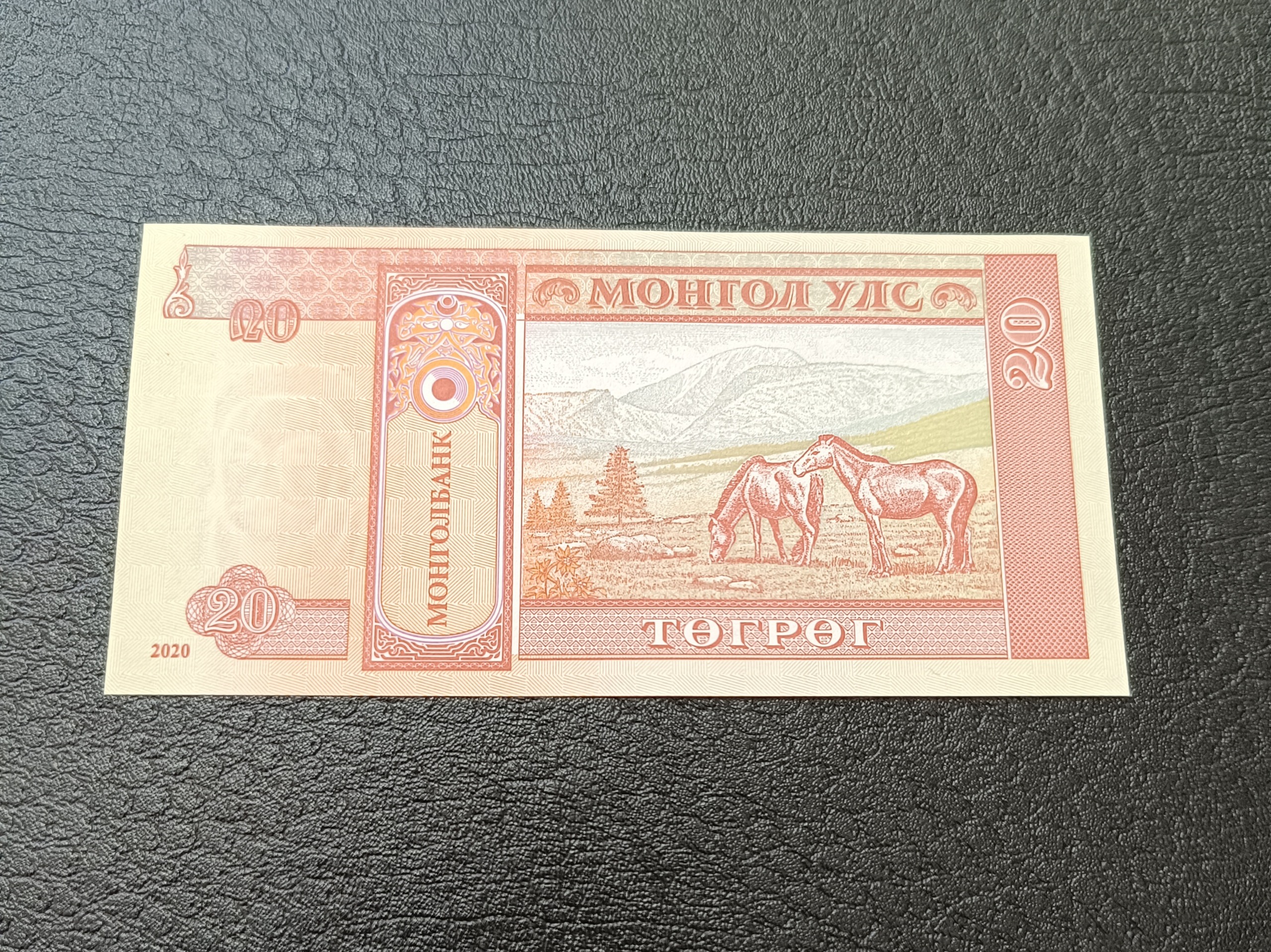 تک بانکی 20 توگروگ مغولستان