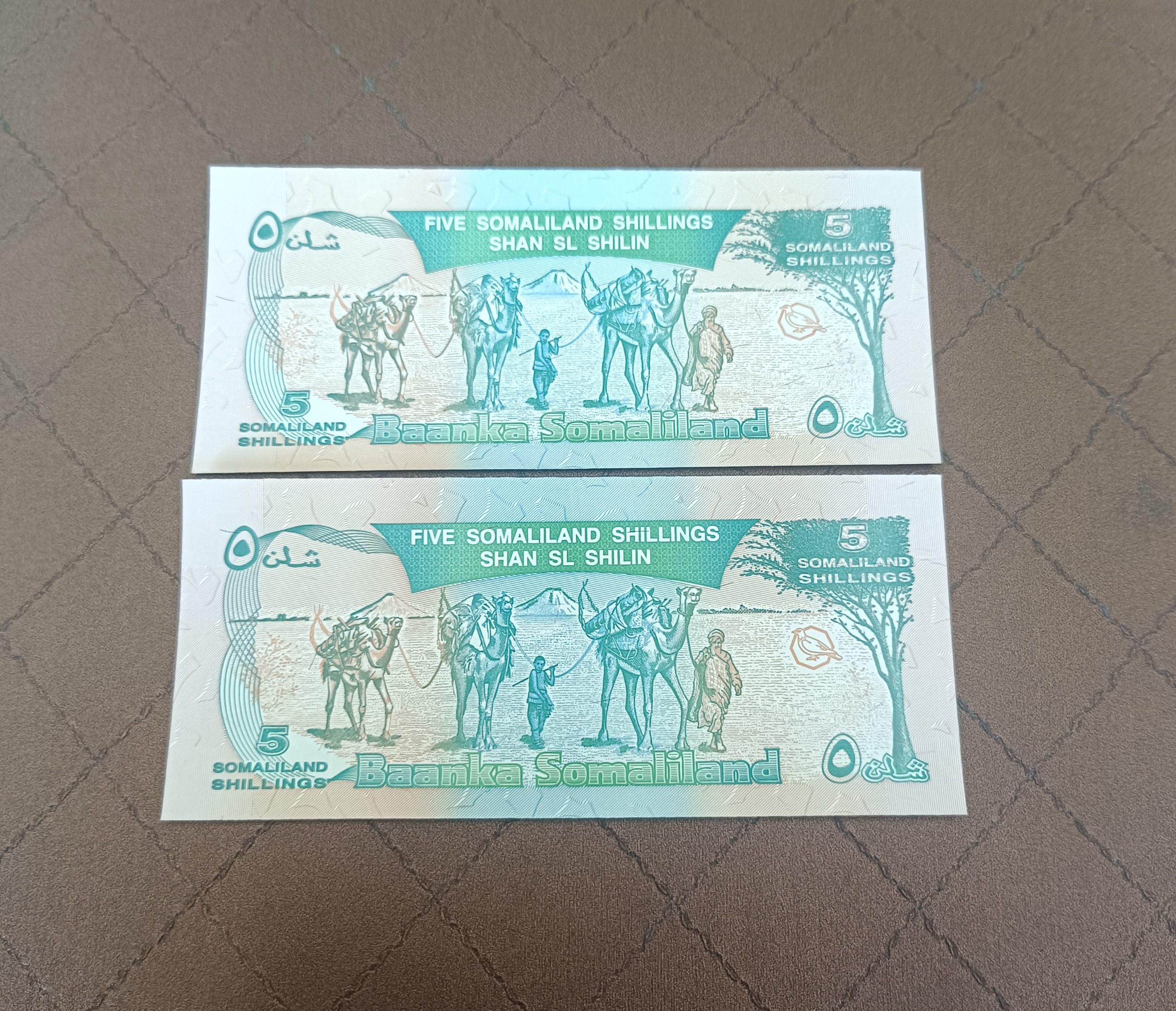 جفت بانکی 5 شیلینگ سومالی لند