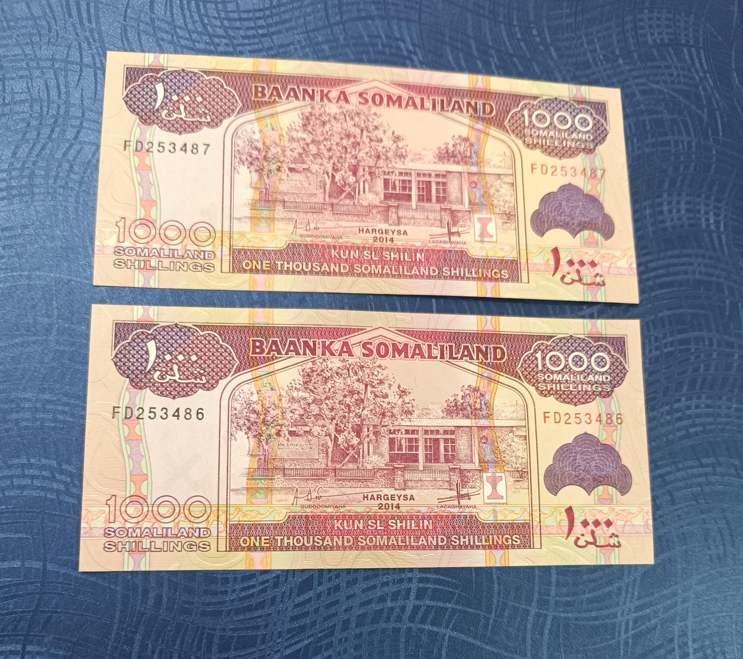 جفت بانکی 1000 شیلینگ سومالیلند زیبا