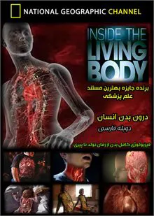 مستند