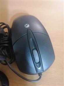 ماوس