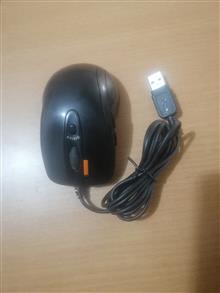 ماوس