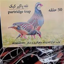 دام