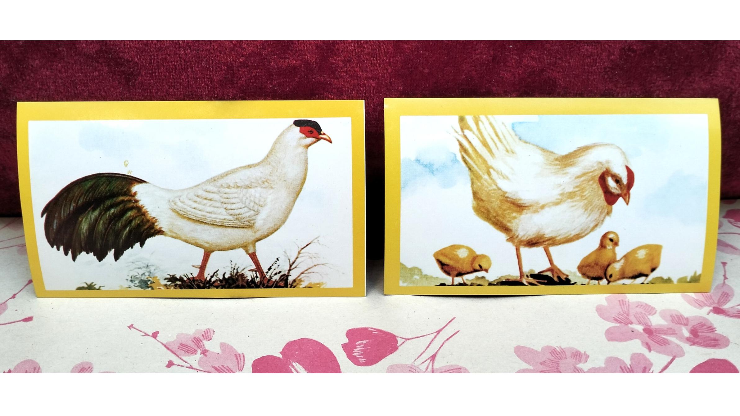 2 مدل برچسب حیوانات آکبند دهه 60