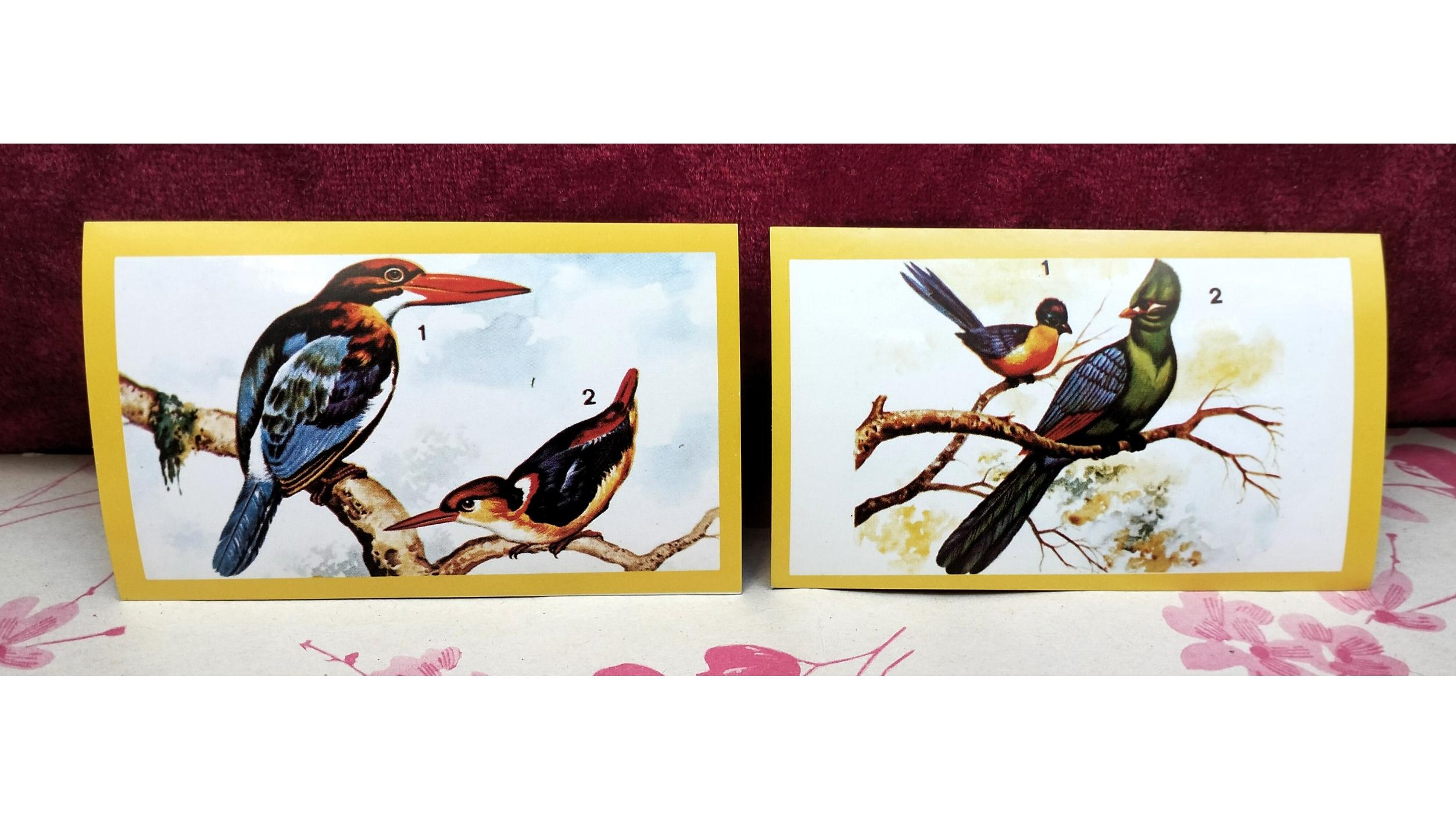 2 مدل برچسب پرندگان آکبند دهه 60