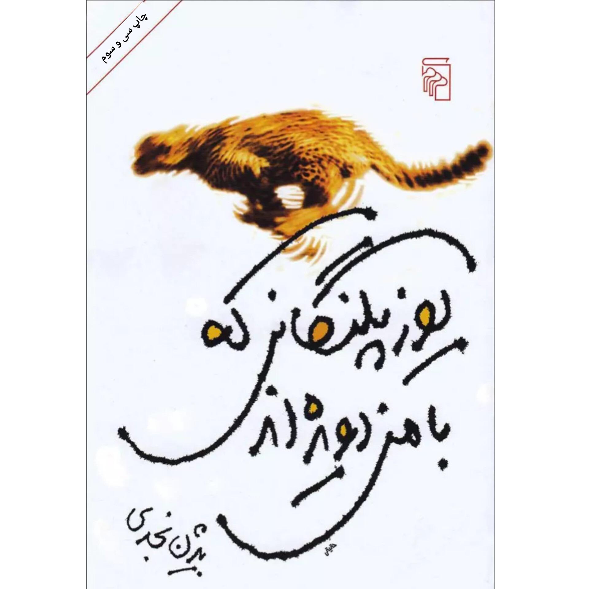 یوزپلنگانی که با من دویده اند