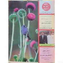 اطلاعات