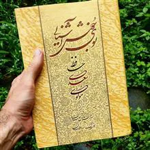 بوی