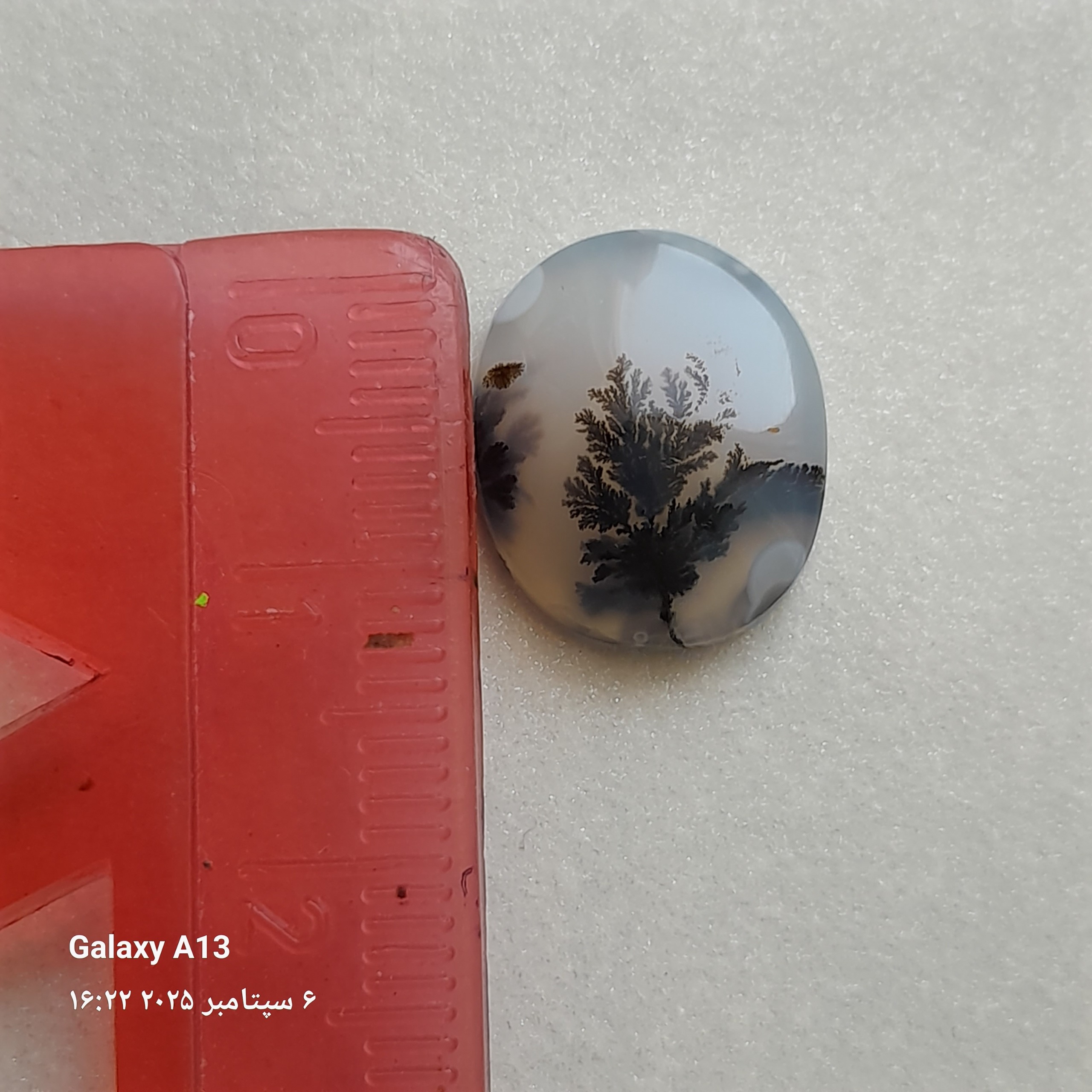 نگین شجر انگشتر کد 251