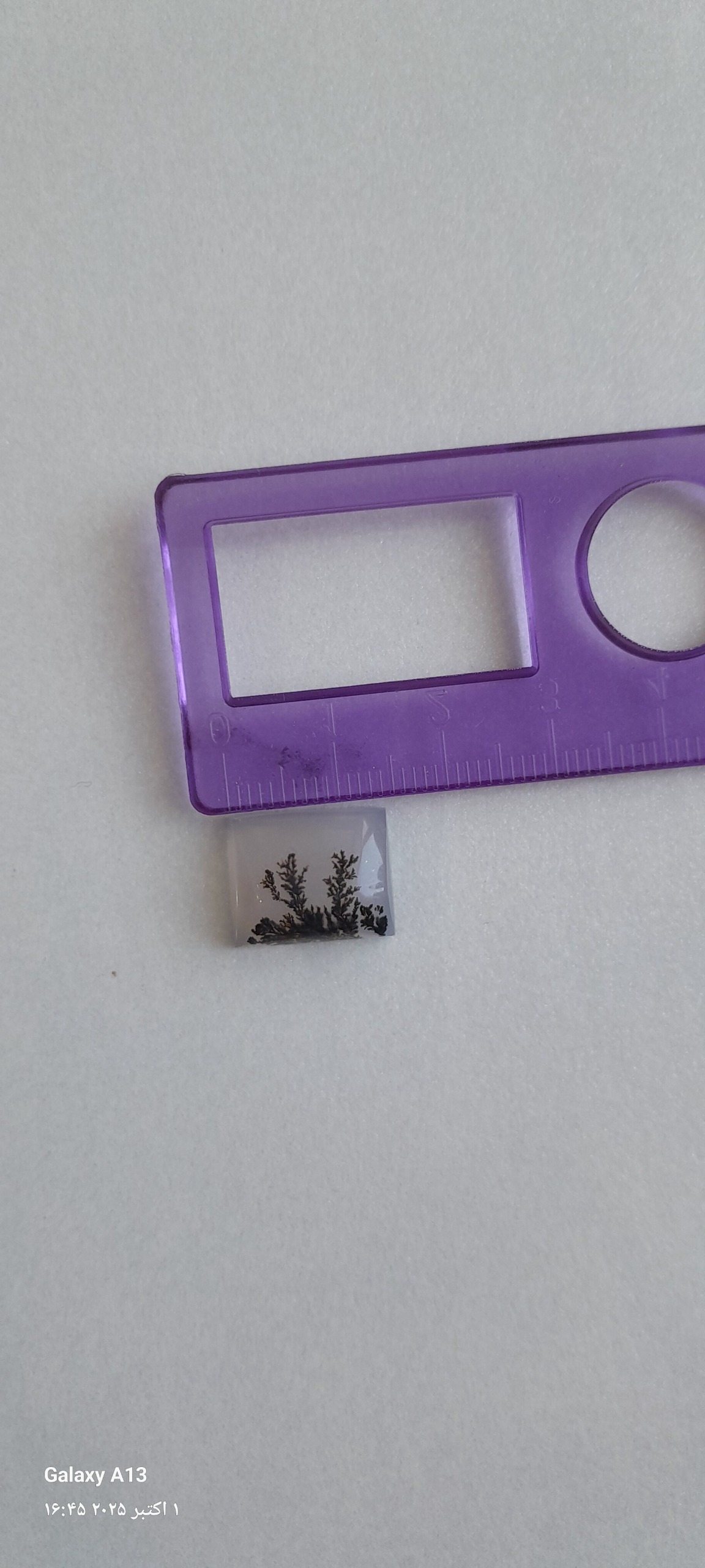 نگین شجر انگشتر طبیعی کد 06