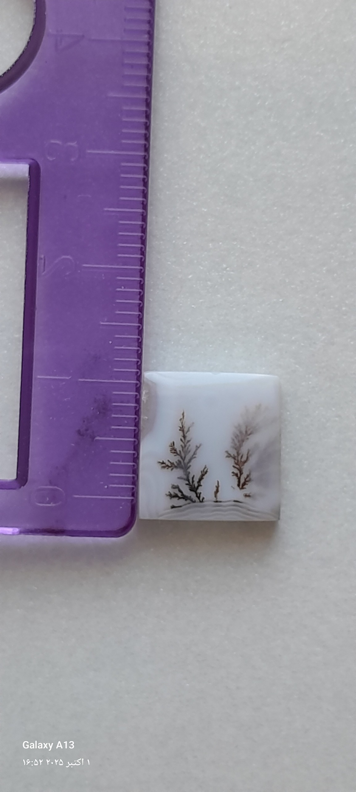 نگین شجر انگشتر کد 08