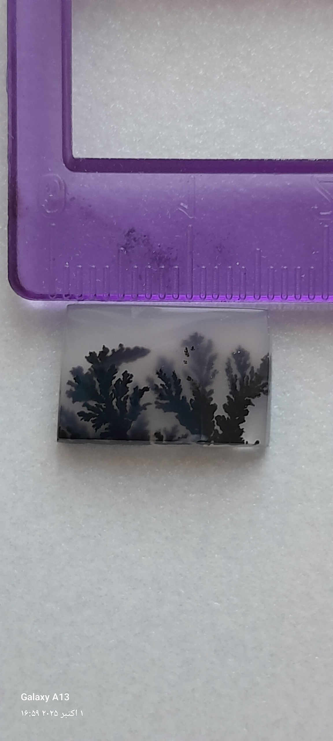 نگین شجر انگشتر کد 010