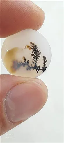 نگین