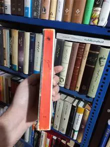 خرمگس