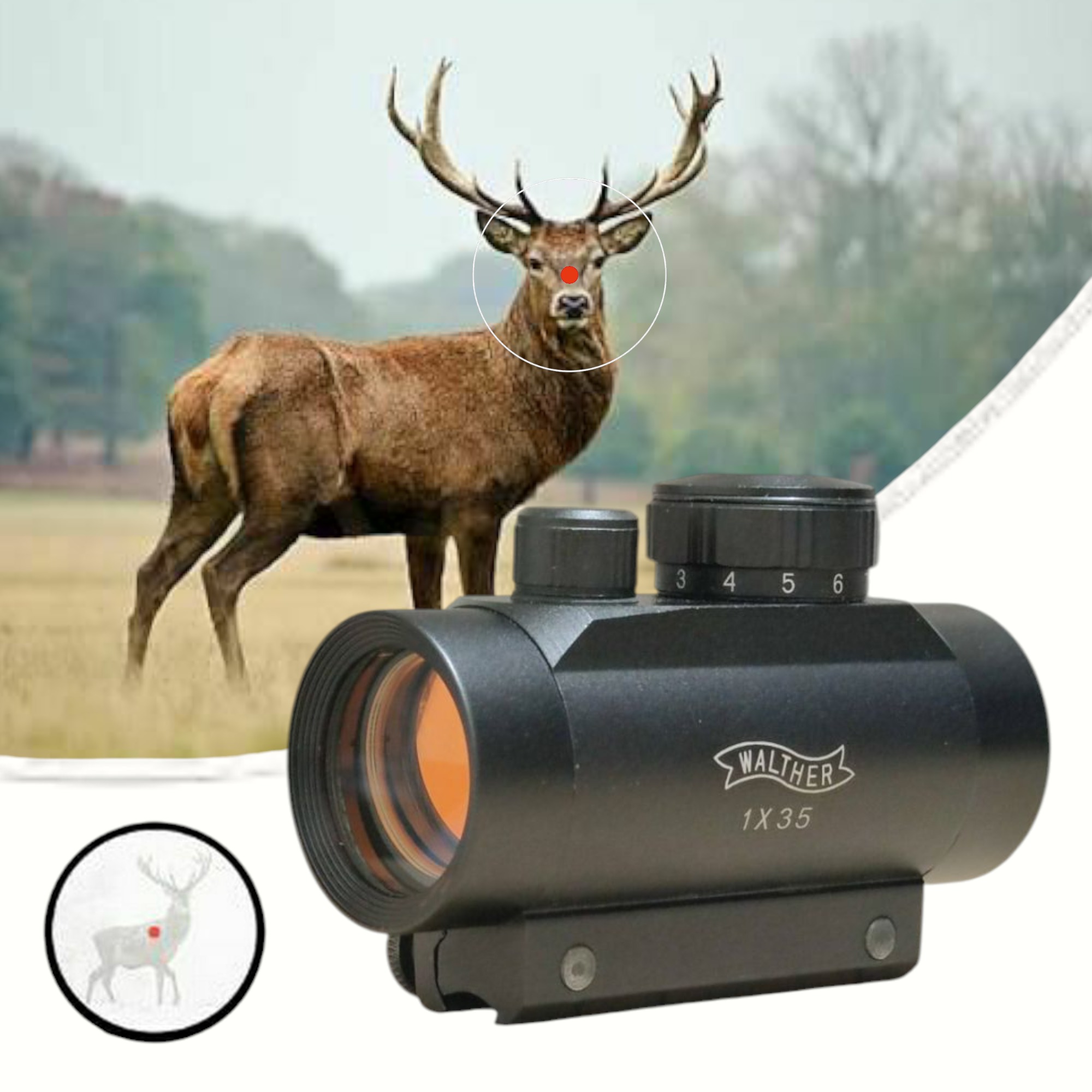  رد دات 30×1 والتر