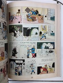 گوش