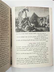 ماجراهای