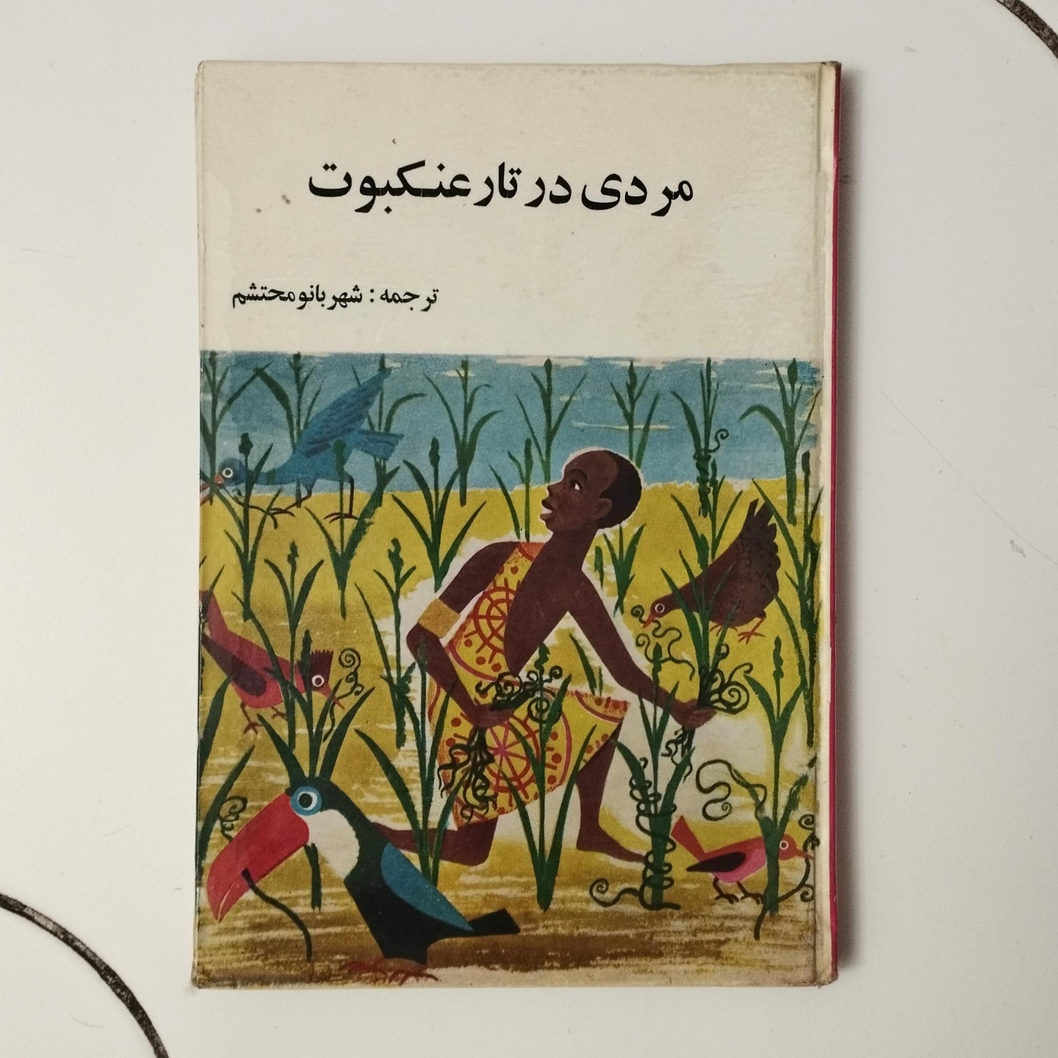 مردی در تار عنکبوت / سلفون / نشر پدیده