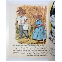 قایم