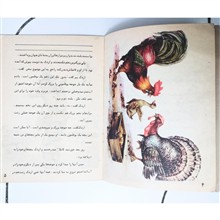 اردک
