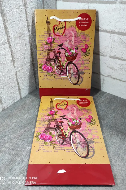 گیفت بگ طرح هپی نس پاریس17در26سانت عمودی